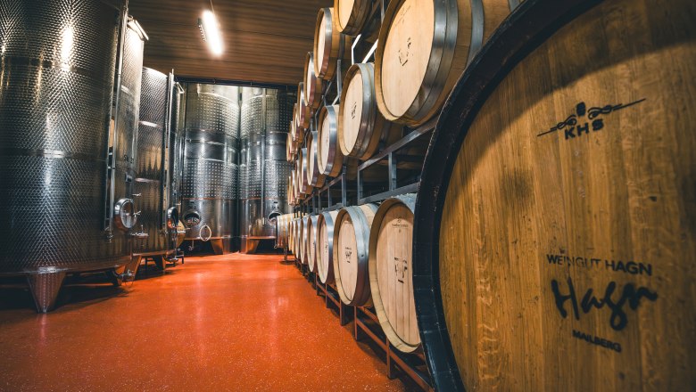 Bor domicile Hagn, © Niederösterreich Werbung / Maximilian Pawlikowsky Borospince fahordókkal és rozsdamentes acéltartályokkal.