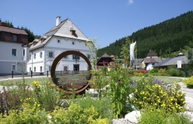 Hörsessel Amonpark Lunz am See, © Mostviertel Hörsessel Amonpark Lunz am See, © Mostviertel