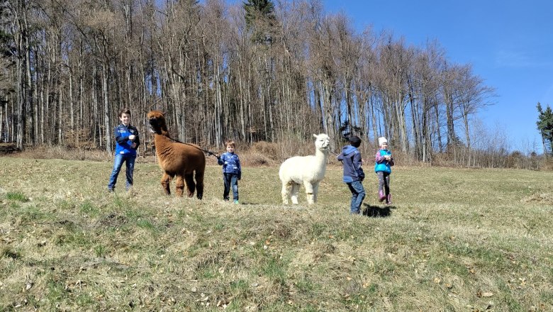 Alpacas with children, © Naturpark Jauerling Wachau Alpacas with children, © Naturpark Jauerling Wachau