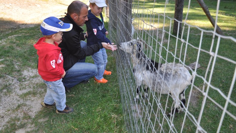 Animal enclosure, © Reinhard Nieder Animal enclosure, © Reinhard Nieder