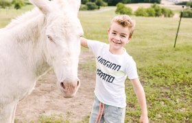 Wachau donkey adventure, © Niederösterreich Werbung / Stefan Fürtbauer Wachau donkey adventure, © Niederösterreich Werbung / Stefan Fürtbauer