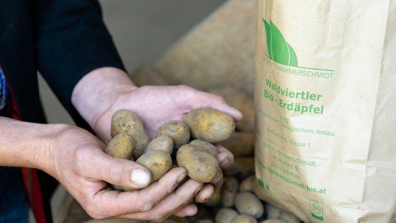 Hammerschmidt organic farm, © Netzwerk Kulinarik/Martina Siebenhandl Hammerschmidt organic farm, © Netzwerk Kulinarik/Martina Siebenhandl