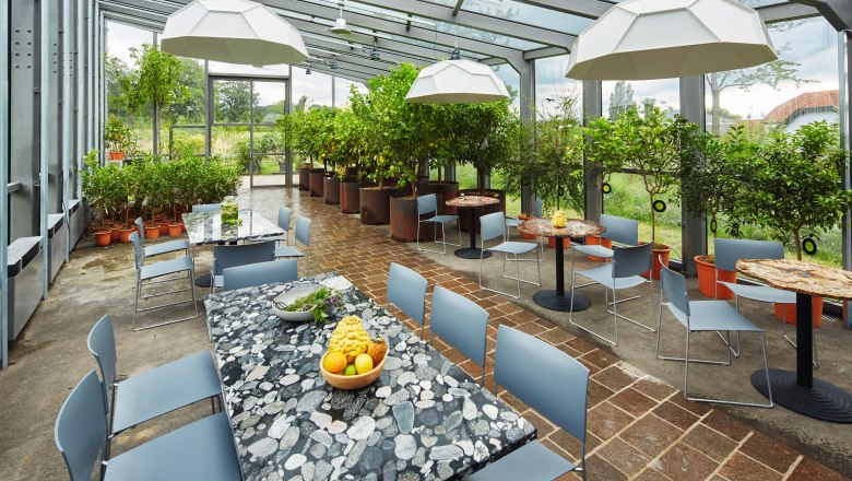 A Guntrams Estate narancsháza ideális kisebb rendezvények lebonyolítására., © Herbert Lehmann Egy narancsház belső nézete asztalokkal, székekkel és növényekkel.