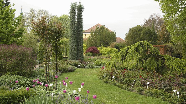 Starkl nursery, © Gärtnerei Starkl Starkl nursery, © Gärtnerei Starkl