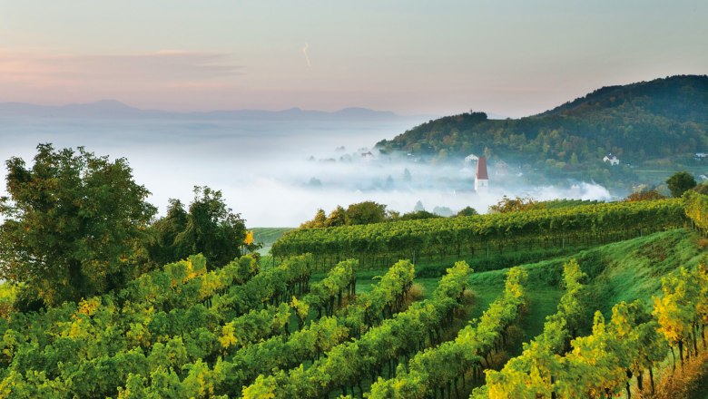 A Traisental ősszel, © schwarz-koenig.at A Traisental ősszel, © schwarz-koenig.at