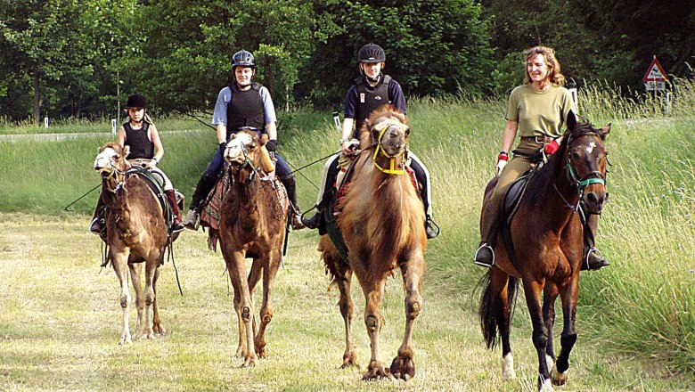 1st Austrian Camel Riding School, © 1. Österreichische Kamelreitschule 1st Austrian Camel Riding School, © 1. Österreichische Kamelreitschule