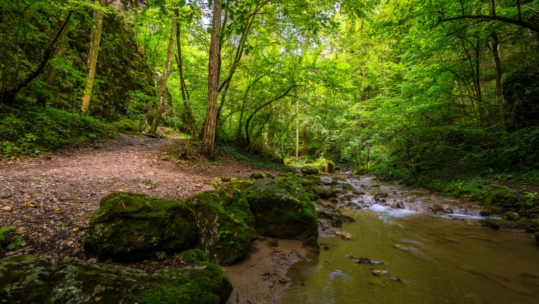 Johannesbach Gorge, © Wiener Alpen/Christian Kremsl Johannesbach Gorge, © Wiener Alpen/Christian Kremsl