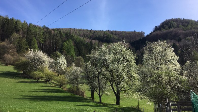 Hiking trail, © Familie Prack Hiking trail, © Familie Prack