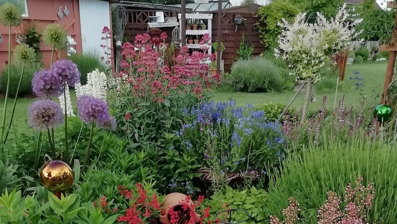 Évelő ágyások, © Susanne Bleier Évelő ágyások, © Susanne Bleier