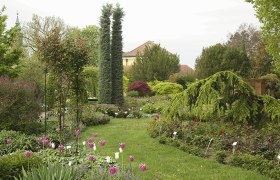 Starkl nursery, © Gärtnerei Starkl Starkl nursery, © Gärtnerei Starkl