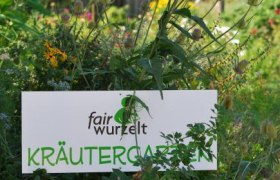 Herb garden fairwurzelt, © fairwurzelt Herb garden fairwurzelt, © fairwurzelt