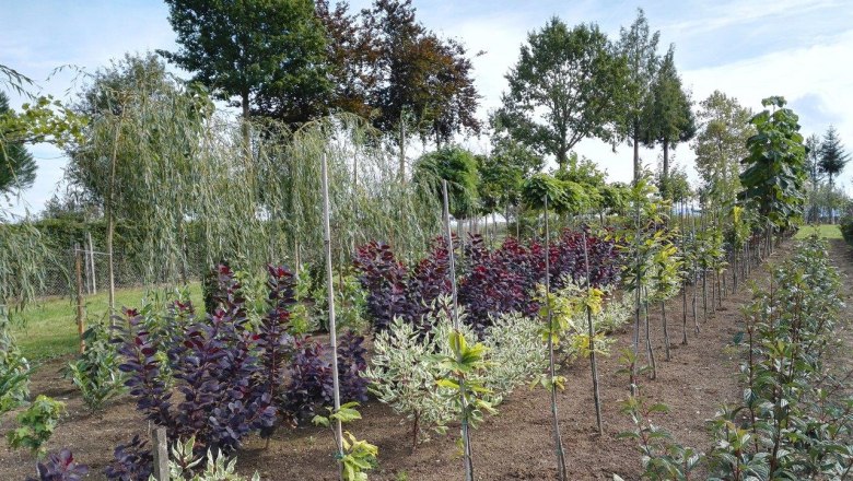 Huber Garden Design & Nursery, © Gartengestaltung & Baumschule Huber Huber Garden Design & Nursery, © Gartengestaltung & Baumschule Huber