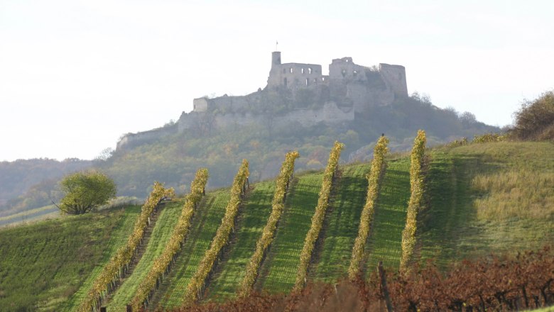 Falkenstein castle ruins, © Rudi Weiss Falkenstein castle ruins, © Rudi Weiss