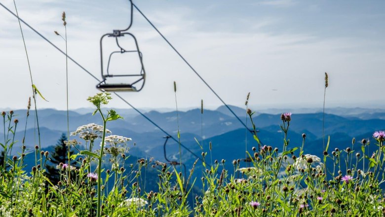 Travel up and down the mountain with the cable car, © Ludwig Fahrnberger Travel up and down the mountain with the cable car, © Ludwig Fahrnberger