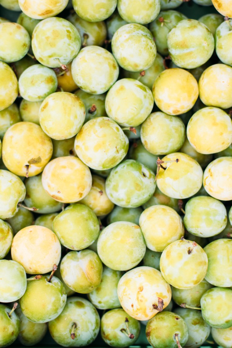 Az édes Kriecherl., © Niederösterreich Werbung/Mara Hohla Az édes Kriecherl., © Niederösterreich Werbung/Mara Hohla