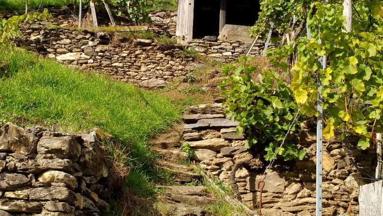 On the Spitzer Graben panoramic trail, © Donau NÖ: Heidi Schauer-Leberzipf On the Spitzer Graben panoramic trail, © Donau NÖ: Heidi Schauer-Leberzipf