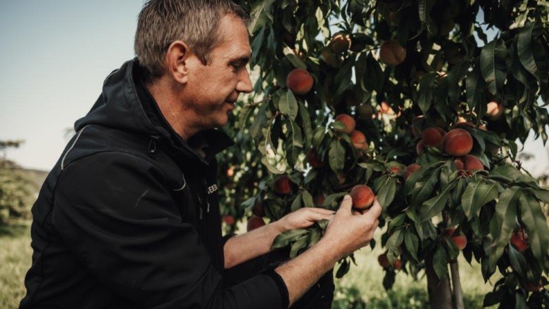 Altenriederer fruit farm, © Monika Jungwirth, Karma & Pitch Altenriederer fruit farm, © Monika Jungwirth, Karma & Pitch