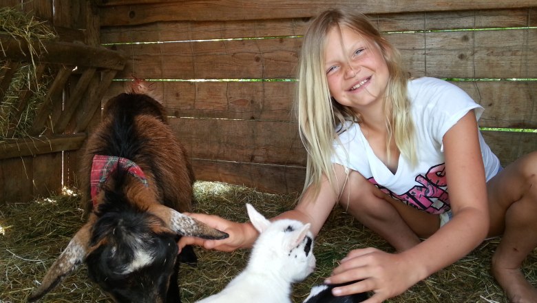 In the goat pen, © Lothspieler In the goat pen, © Lothspieler