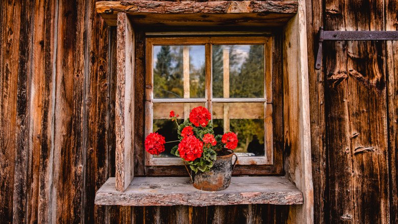 Nestelberg 17 (c)Marlene Schindlegger (52), © Sabine Wieser Nestelberg 17 (c)Marlene Schindlegger (52), © Sabine Wieser