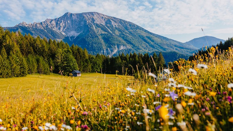 Nestelberg 17 (c)Marlene Schindlegger (46), © Sabine Wieser Nestelberg 17 (c)Marlene Schindlegger (46), © Sabine Wieser