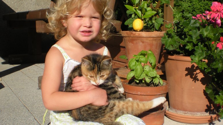 Hadd simogassalak, kicsi macska, © Ferienhof Salcheck Hadd simogassalak, kicsi macska, © Ferienhof Salcheck