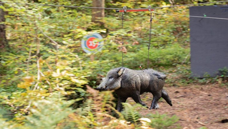 A "running" wild boar must also be hit, © Ludwig Fahrnberger A "running" wild boar must also be hit, © Ludwig Fahrnberger