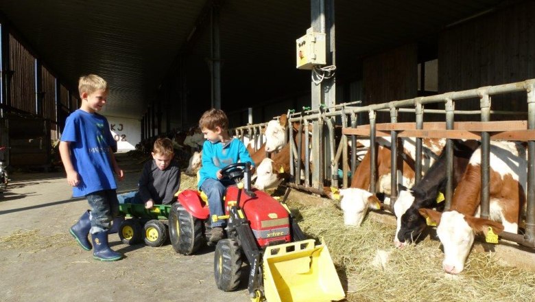 Kerndlerhof children in the stable, © Kerndlerhof Kerndlerhof children in the stable, © Kerndlerhof