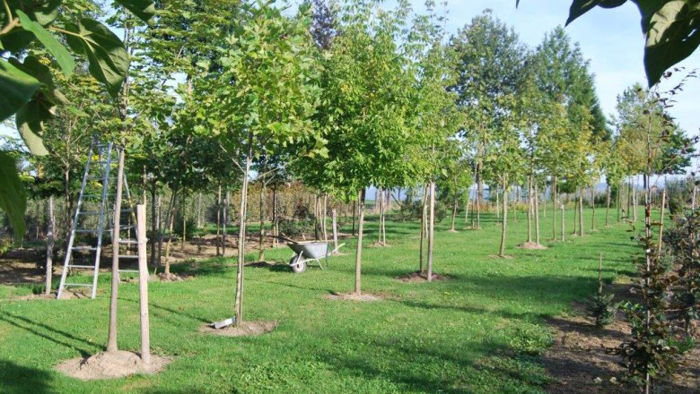 Huber Garden Design & Nursery, © Gartengestaltung & Baumschule Huber Huber Garden Design & Nursery, © Gartengestaltung & Baumschule Huber