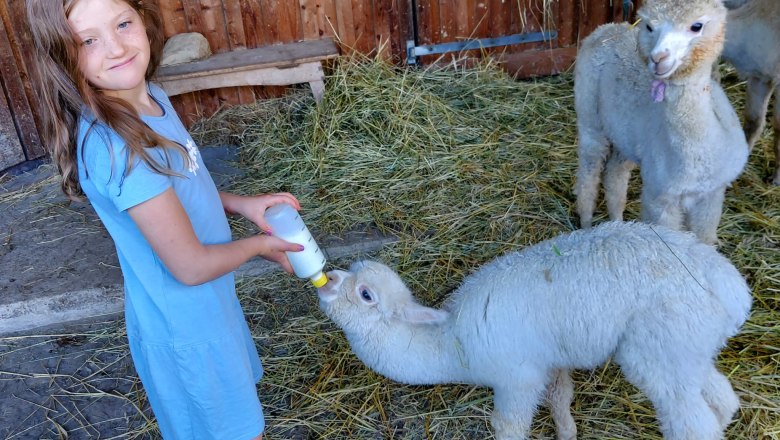 Alpkahof Klosterneuburg, © Alpakahof Klosterneuburg Alpkahof Klosterneuburg, © Alpakahof Klosterneuburg