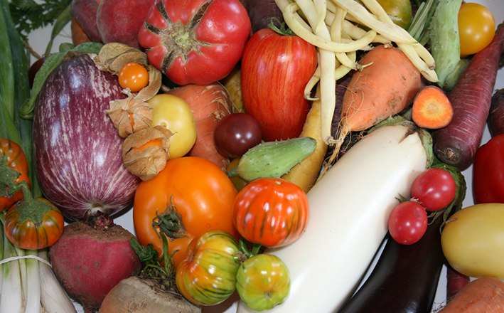 The variety is huge, © Arche Noah The variety is huge, © Arche Noah