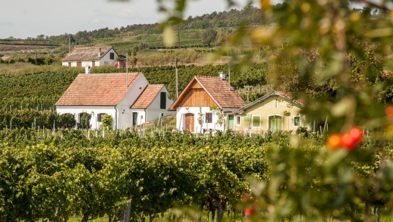 Feuersbrunn, Wagram pincesora, © Niederösterreich Werbung/Discover Austria Feuersbrunn, Wagram pincesora, © Niederösterreich Werbung/Discover Austria