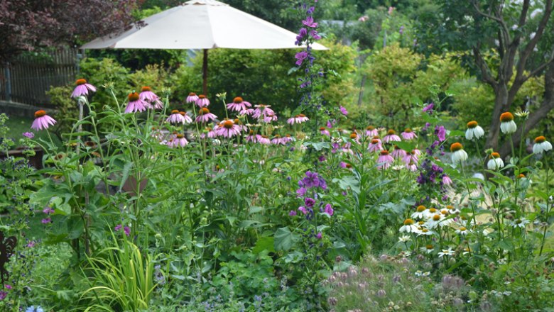 Hammerschick Garden, © Christine Hammerschick Hammerschick Garden, © Christine Hammerschick