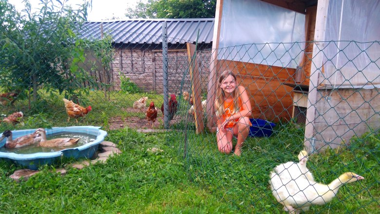 Feathered fowl, © Lothspieler Feathered fowl, © Lothspieler