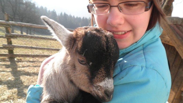 Az istálló pihe-puha lakói várnak, © Bauernhof Oberschönbichl Az istálló pihe-puha lakói várnak, © Bauernhof Oberschönbichl