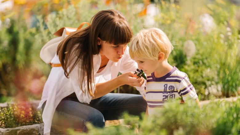 SONNENTOR Sprögnitz, © Waldviertel Tourismus/Andreas Jakwerth SONNENTOR Sprögnitz, © Waldviertel Tourismus/Andreas Jakwerth