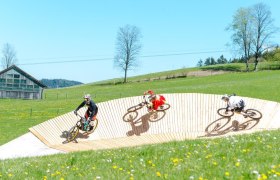 Bikepark Königsberg, © Wolfgang Wutzl Bikepark Königsberg, © Wolfgang Wutzl