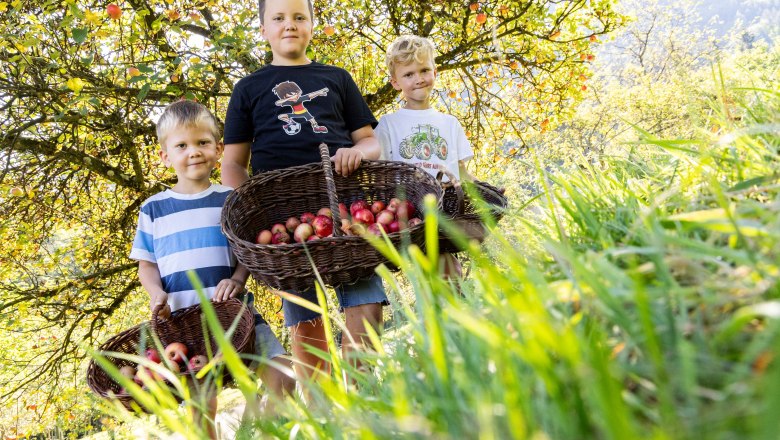 Organic farm Phyrabauer, © Theo Kust