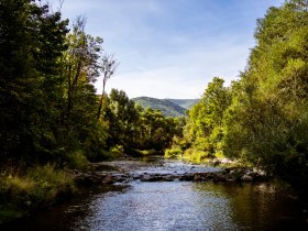 Helenental Schwechat, &copy; Nieder&ouml;sterreich Werbung/Robert Herbst