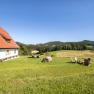 Vacation cottage Hinterbreiteneben, © Joseph Gasteiger