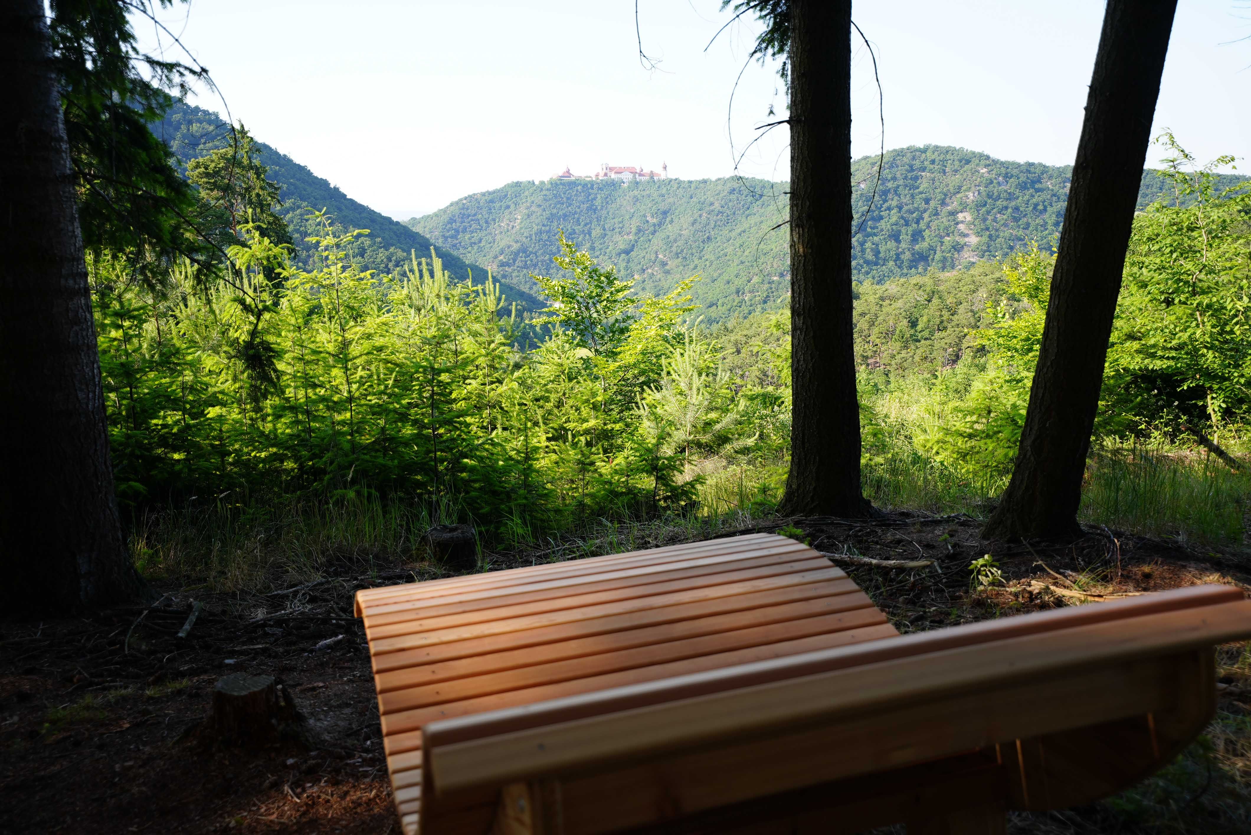 Fapad az előtérben, kilátással az erdős hegyekre és a távolban egy kolostorra.