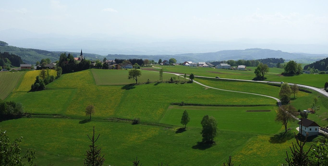 Herzstein út
