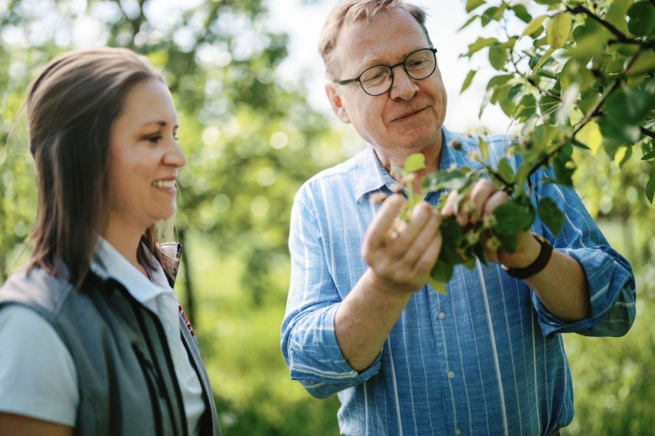 Distelberger ínyencfarm