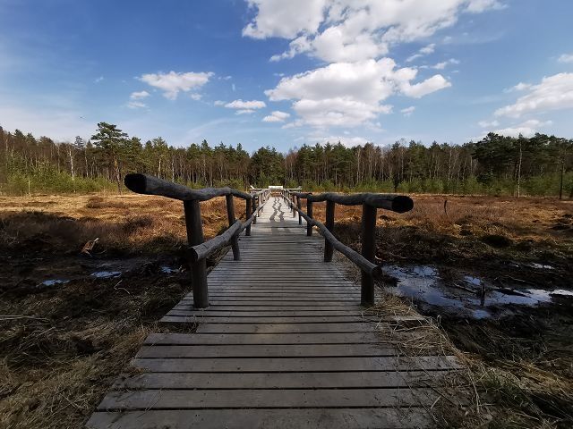 Mocsári tanösvény a Heidenreichstein Moor natúrparkban