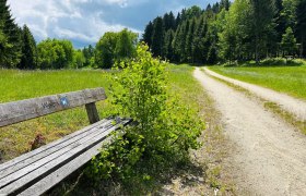 &Uacute;tvonal Weitra k&ouml;zel&eacute;ben, &copy; Dr. Markus Peham