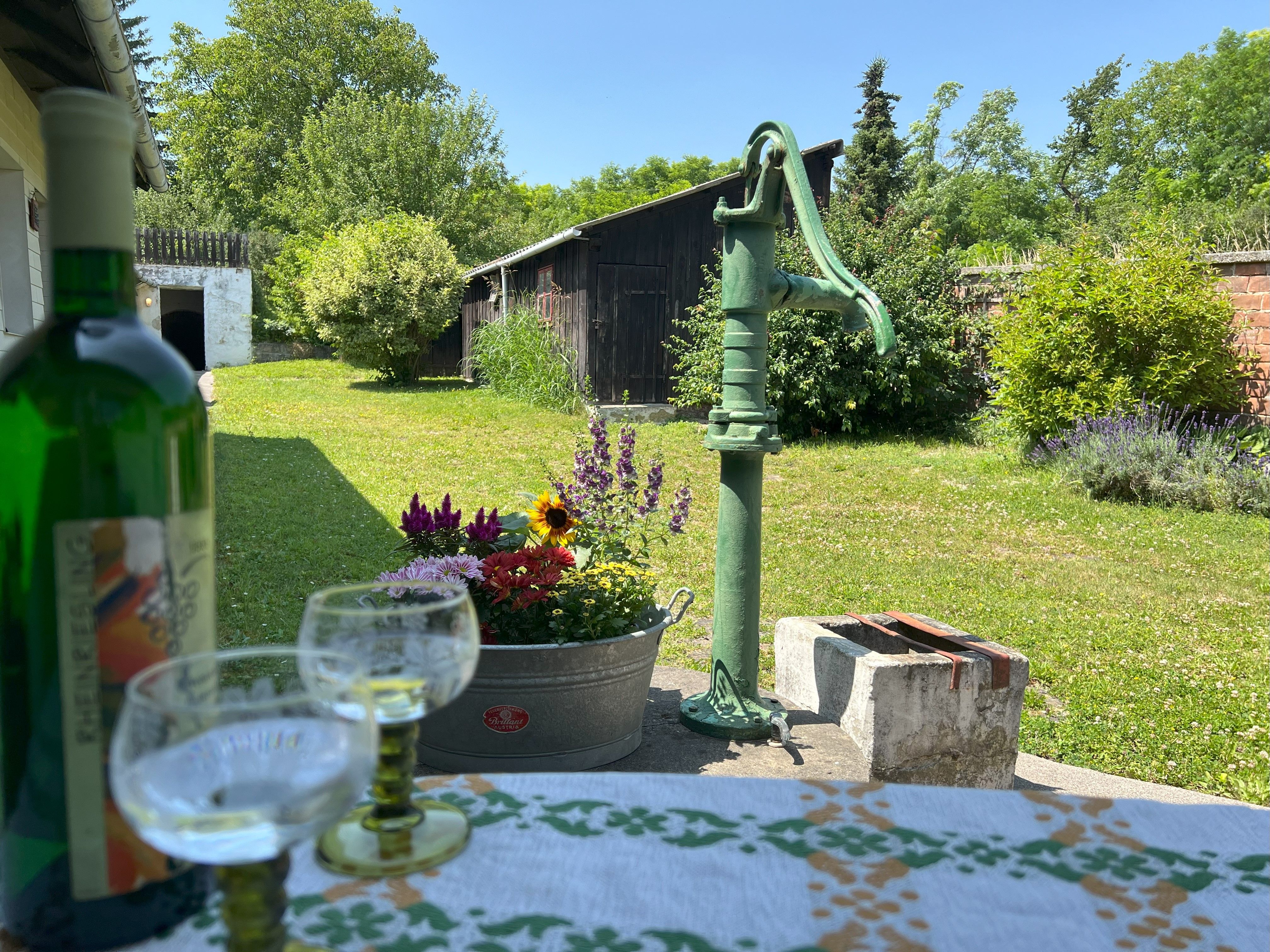 Egy zöld udvar, egy régi vízszivattyúval, virágokkal és egy asztallal, amelyen egy üveg bor és poharak vannak.