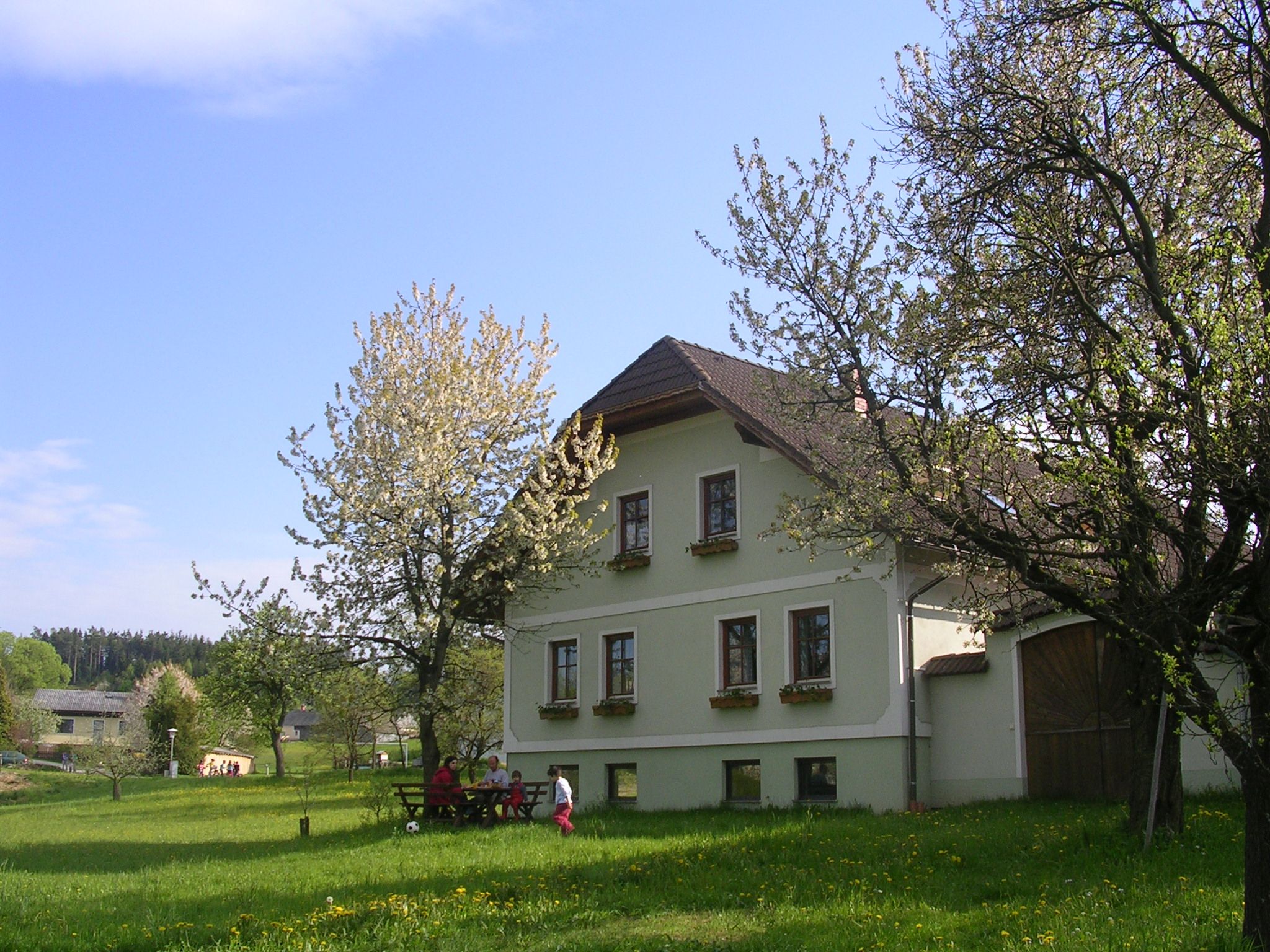 Ház kerttel