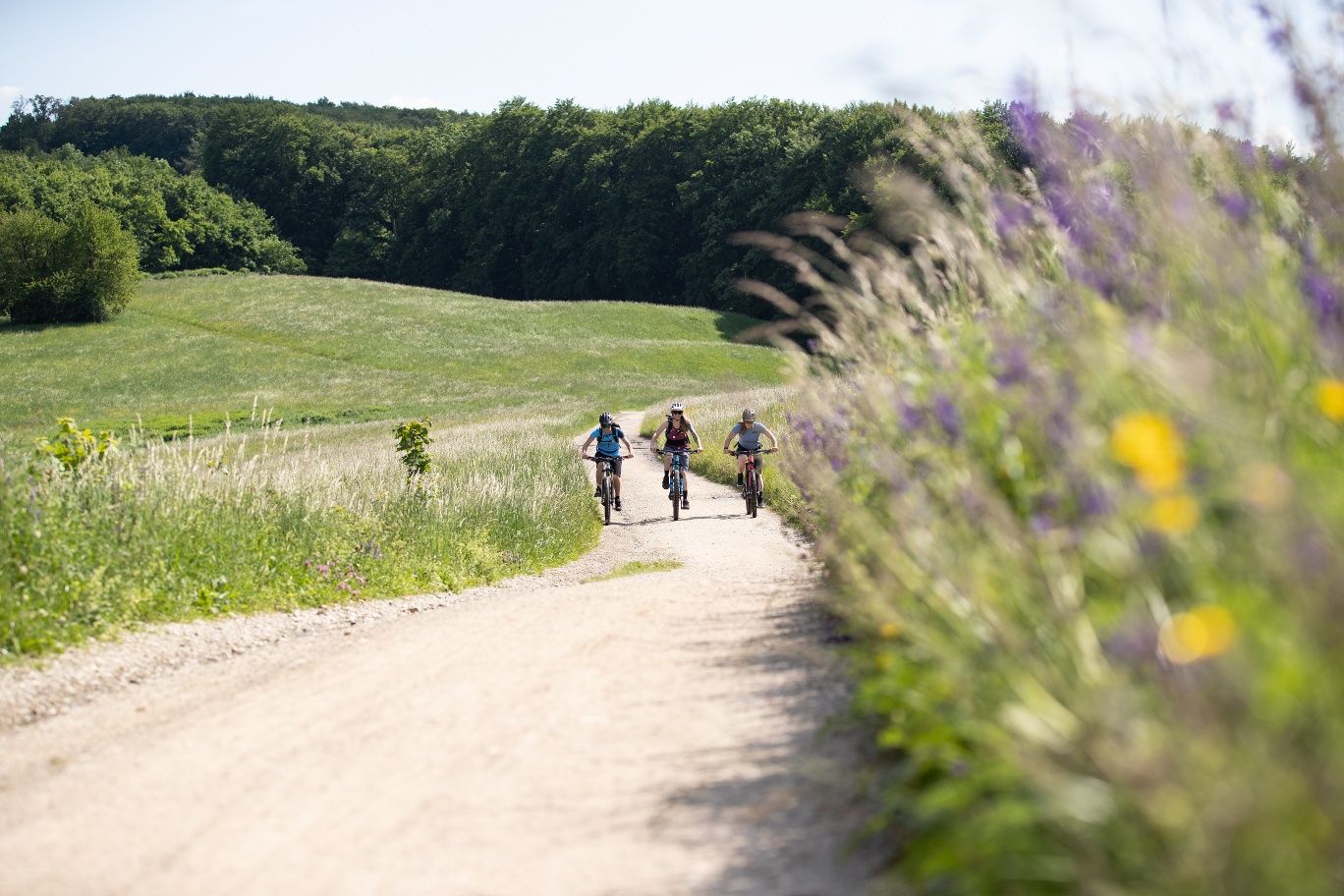 MTB Bécsi-erdő