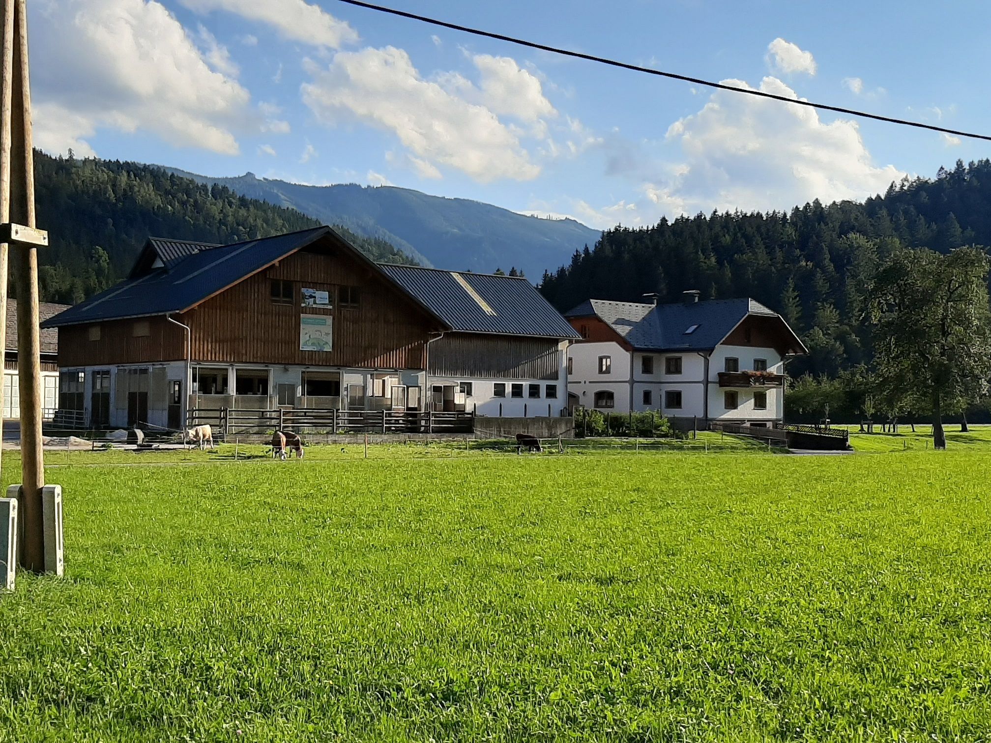 Kleinsteg biofarm