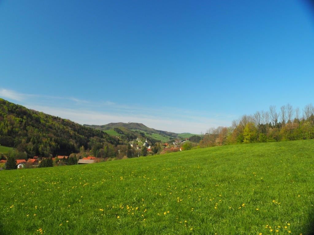 A zöld Kaumberg