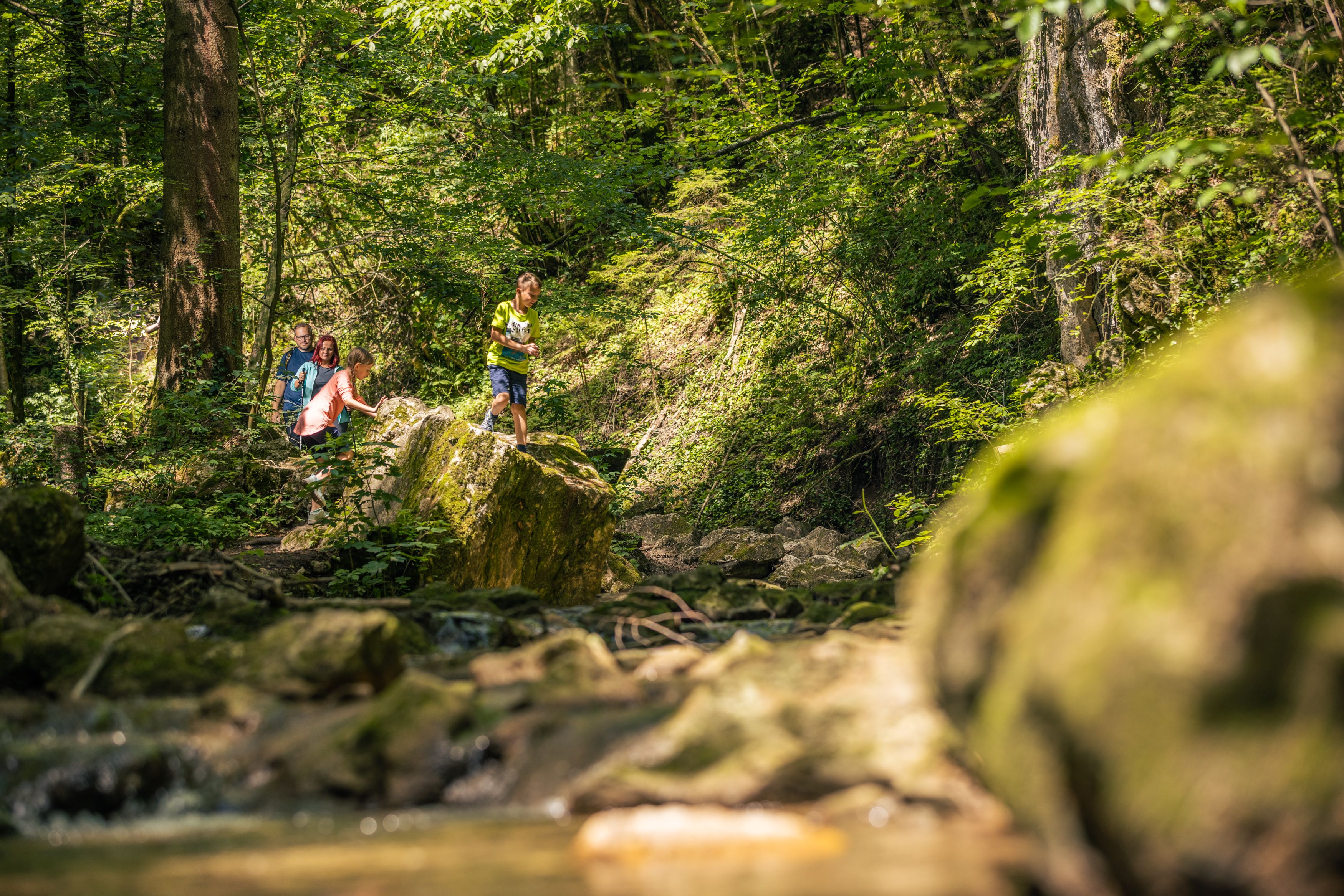 Familie wandert durch einen Wald mit Bachlauf.